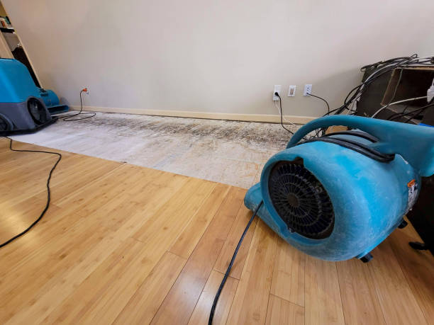 Professional Structural Drying technician working in Palestine, TX